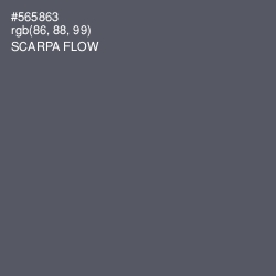 #565863 - Scarpa Flow Color Image